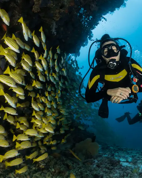 Diver swimming beside a school of tropical fish on a reef